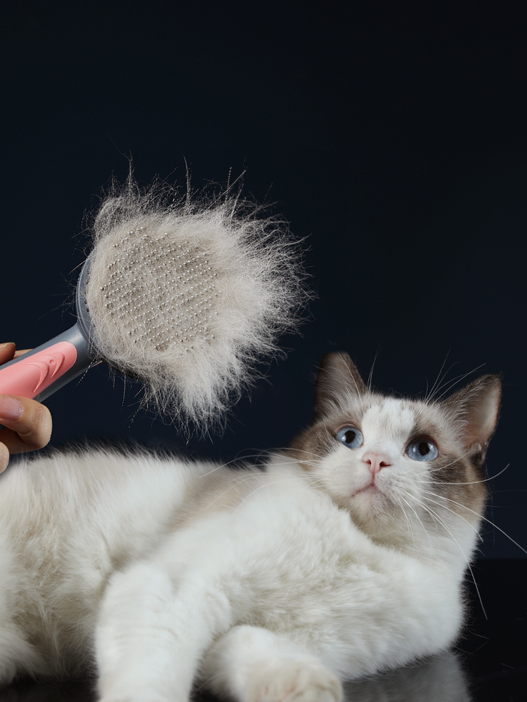 Cat Grooming Comb